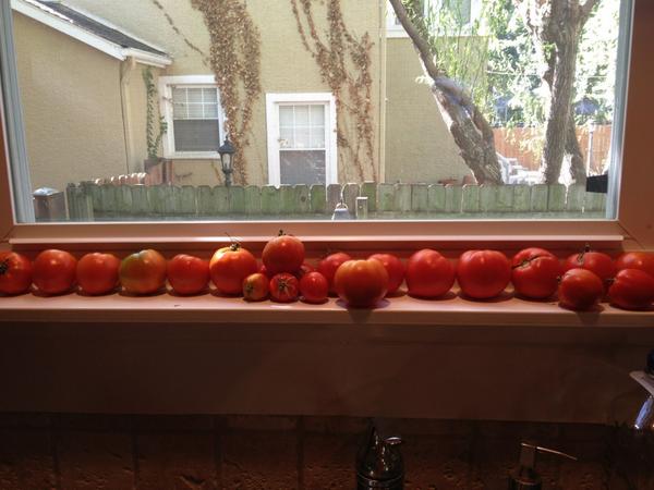 BradTwigg's tweet photo. Didn't think I would see these guys this year. http://t.co/OhlzTO0Q