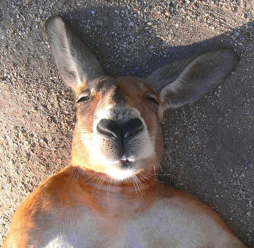 #HoesIn2012 be on Instagram like "Still laying in my bed, NO make up but I'm still pretty" when they look like...