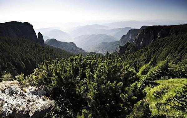 pro4oto's tweet image. Nature Photography by Elena Simona Craciun pphotography.net/2012/09/nature…