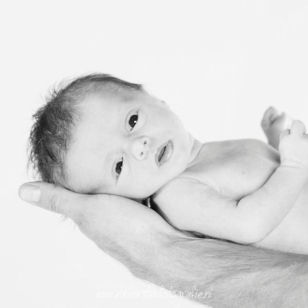 Ook voor een #NewBorn #fotoshoot kun je terecht bij Els Korsten Fotografie!