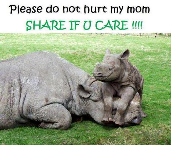Ahimsa1976's tweet photo. http://t.co/CGjlXYyf