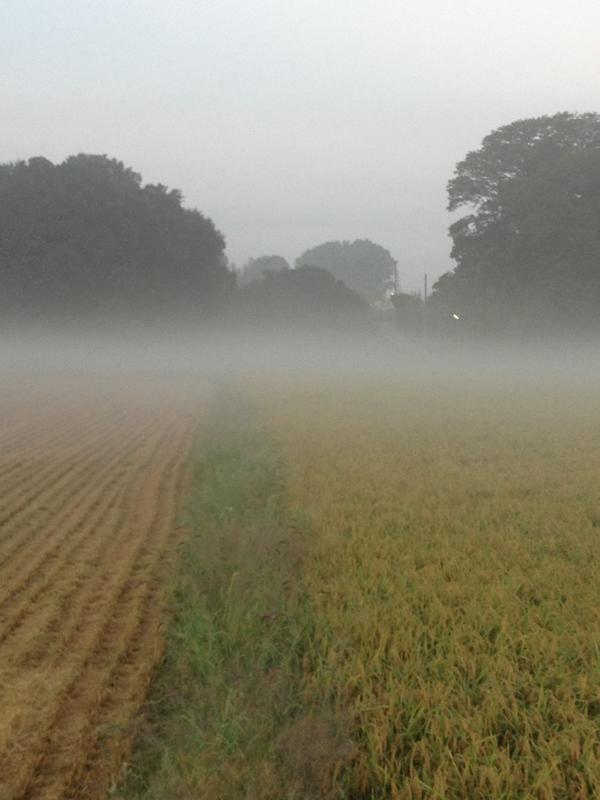 埋め込み画像への固定リンク