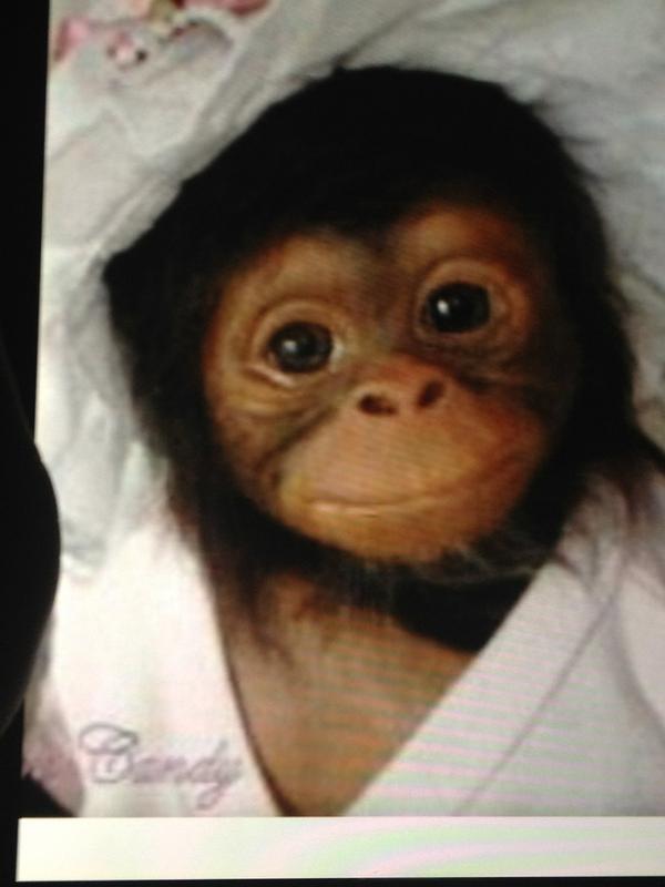 juan carlos saucedo (bichuela18) Twitter