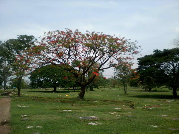 mariabilledo's tweet photo. oct 11, 1st anniv mo na ma sa heaven.. missing u much. http://t.co/0CCeb4Sx