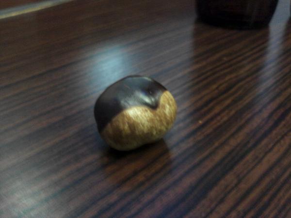 AceBalnom tweet picture