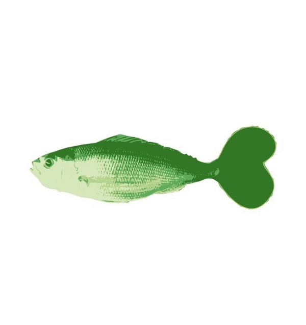 ベストカイワレ 魚 最高の花の画像