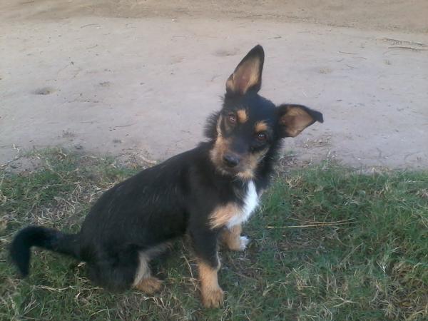 pichotax's tweet photo. @SkMarci bonjour belle, comment vas-tu? http://t.co/KU3Xa5DS