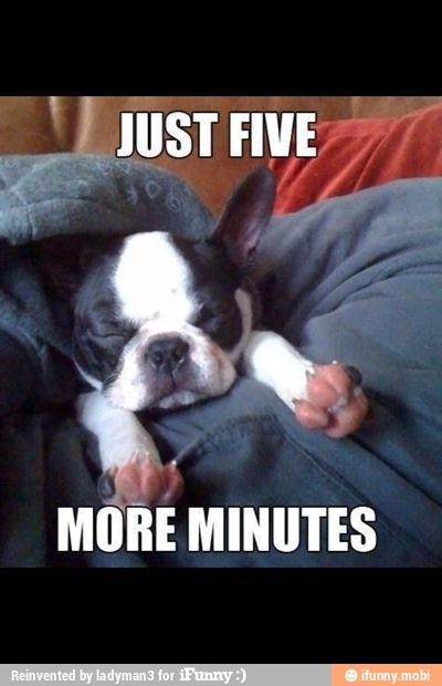 Every morning http://t.co/kNj53qRw<a href="/tag/twister"class="tags"><span>#twister</span></a>