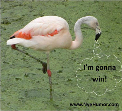 NyeHumor's tweet image. Why do flamingos win races? Because they have a LEG UP on the competition! #NyeHumor