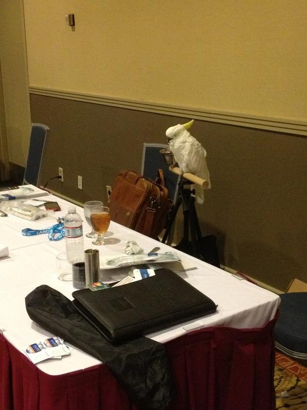 CharliKMatthews's tweet image. Let's here it for Sealryt and BooBoo on Sealing Solutions at #PumpTec