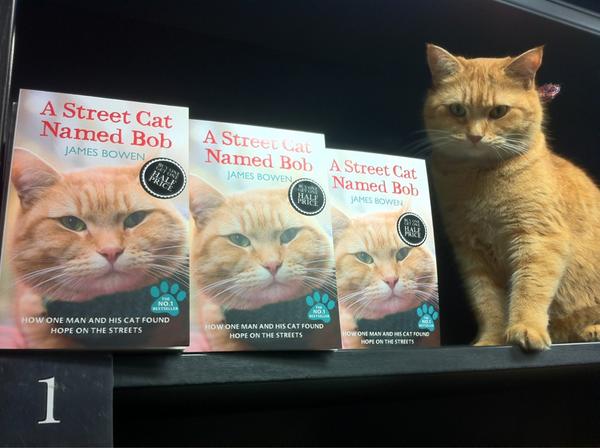 StreetCatBob's tweet photo. Just popped into @WaterstonesCGdn  on day before publication and guess what!? We are already No 1! #flyingstart http://t.co/niALpYD3