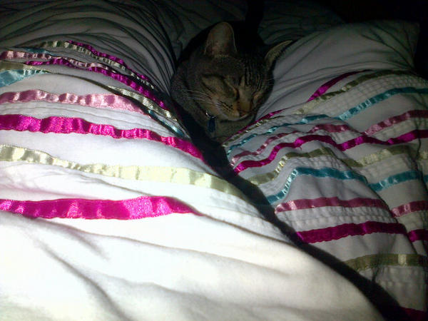 crazy4rossyR5's tweet image. Comfy there are ya? yeah, I'm not.