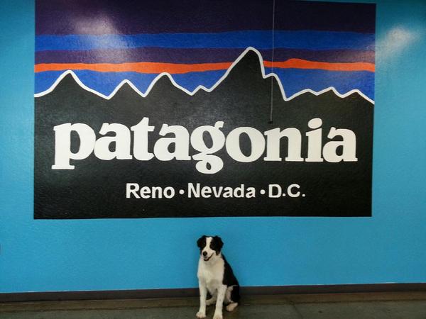 Jacob Miller tweet media