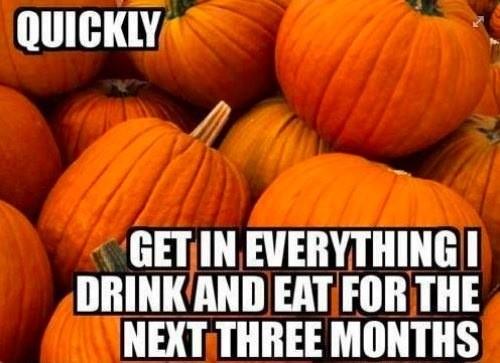 howesoundbeer's tweet image. That's right! #PackItIn #Fall #Pumpkin RT @tcb17: @howesoundbeer @greatbearpub Tis the season