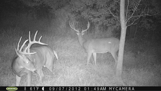 Watch Brett Moffitt's leaked NSFW photo on TwXstars