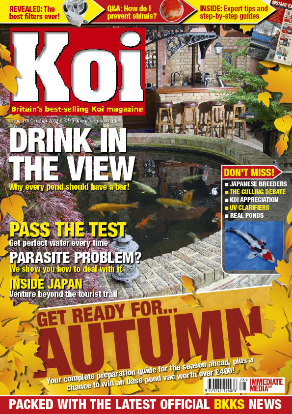 Koimag's tweet image. And here's the cover! #koimag #koi