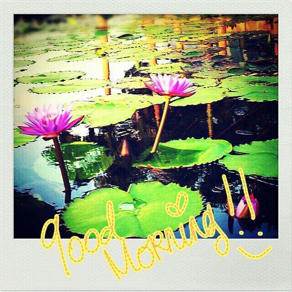 melindapriskila's tweet photo. http://t.co/SMxfxLP0