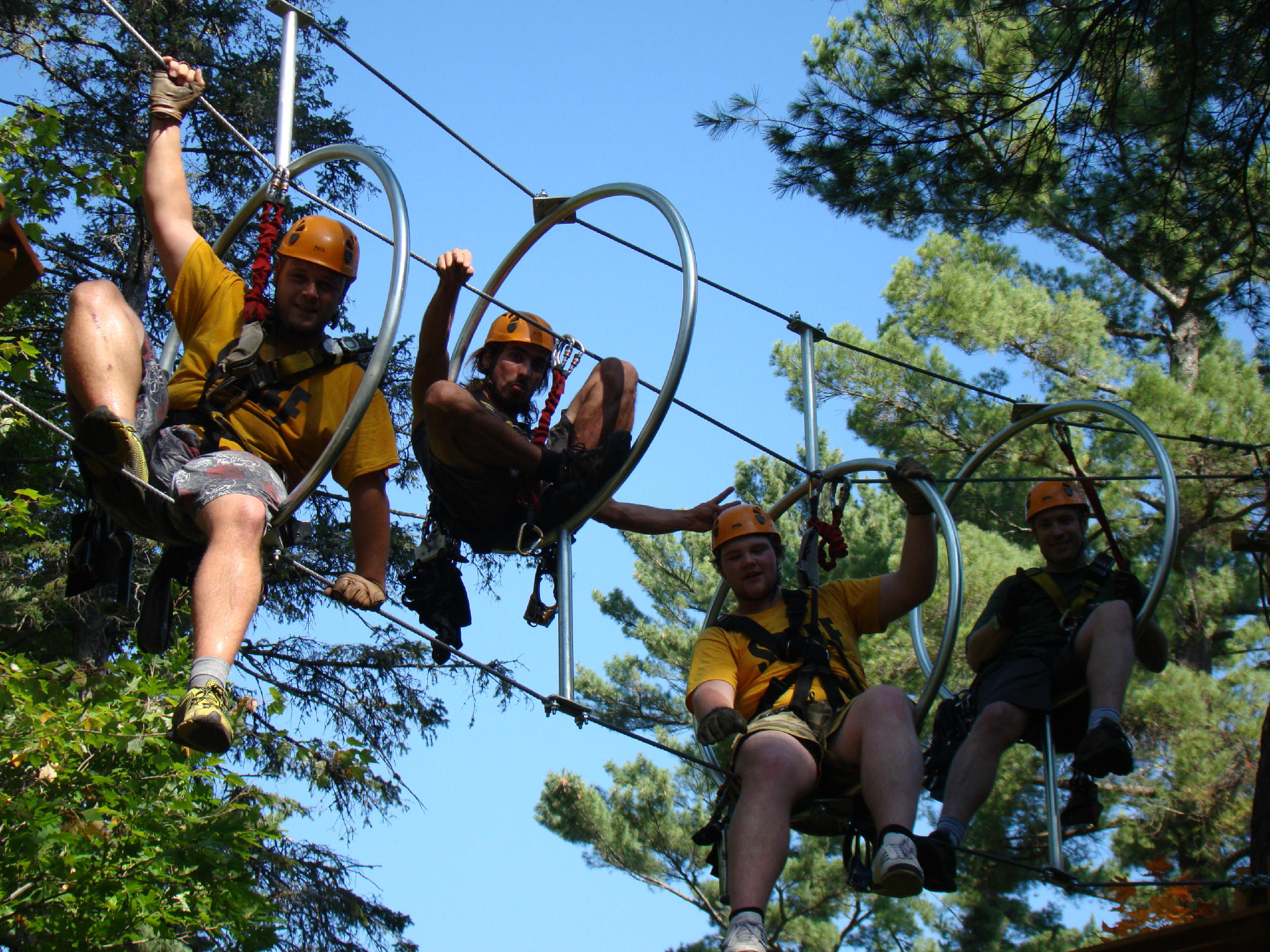Chutes Coulonge Park On Twitter Live Our New Adventure Aerial Obstacle Courses Http T Co P3p8enpr