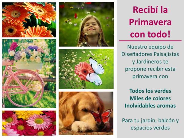 IntegralHogar's tweet image. Recibimos la #Primavera con todo!