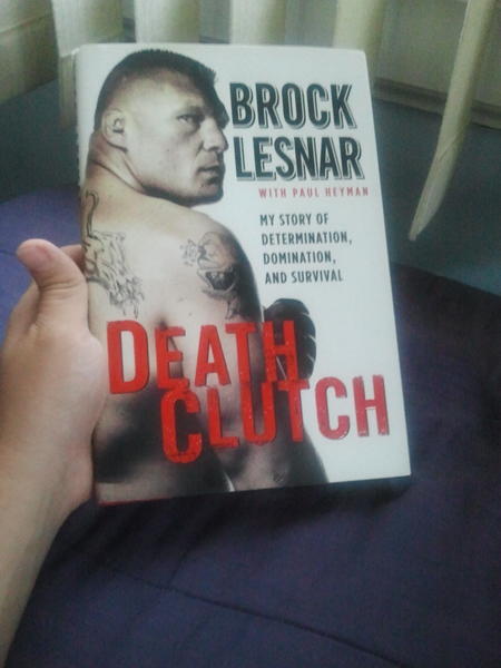 @ITSBROCKLESNAR know its late but I picked this up what a good fn read! Cant wait for your next one!