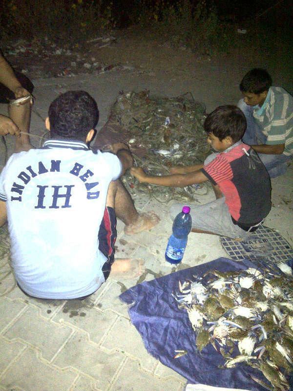 Gaza Surf Club tweet media
