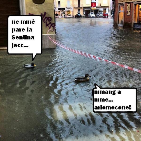 BodyLineSbt's tweet photo. Per sorridere un attimo! http://t.co/lvRAkg1v