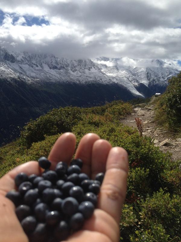 Resultado de imagen de La Naturaleza nos proporciona lo que necesitamos