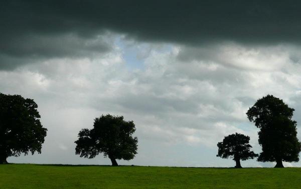 Think that there is a storm brewing!!