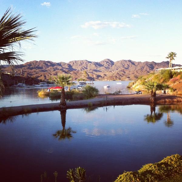 macwill10's tweet image. Here in #Havasu #havasusprings