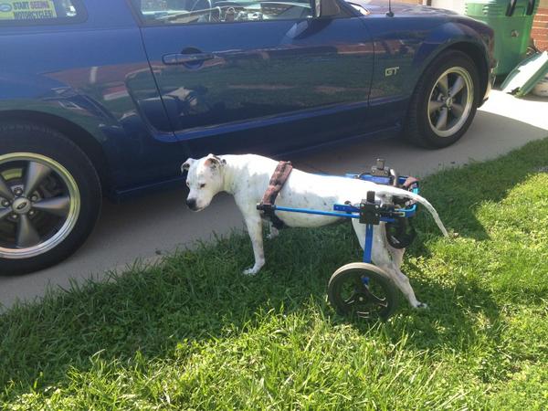 ashley rost (@RostAshley) | Twitter