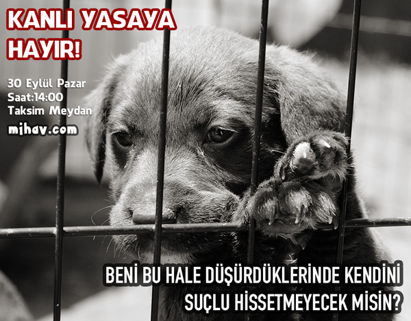 mihavcomtr's tweet photo. ÖLÜM YASASINA HAYIR demek için yarın saat 14:00'da Taksime! 
LÜTFEN PAYLAŞIN #sokakhayvanlarınırahatbırakın http://t.co/95Iuwf7e