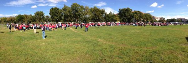 GavinLHall's tweet image. Great weather for a good cause

#smswalk