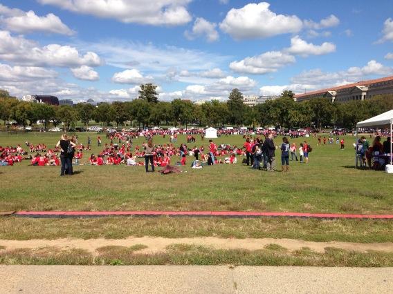 GavinLHall's tweet image. #smswalk