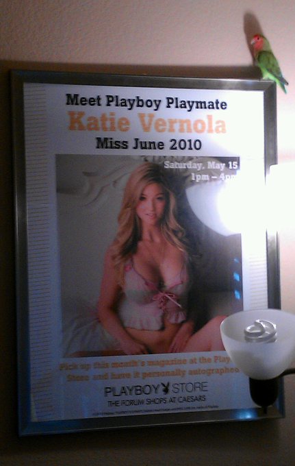 Schweezy loves @Playboy #Playmate #LoveBird http://t.co/PiUHQgtP<a class="tags" href="/tag/playboy">@playboy</a><a href="/tag/playmate"class="tags">#Playmate</a><a href="/tag/lovebird"class="tags">#LoveBird</a>
