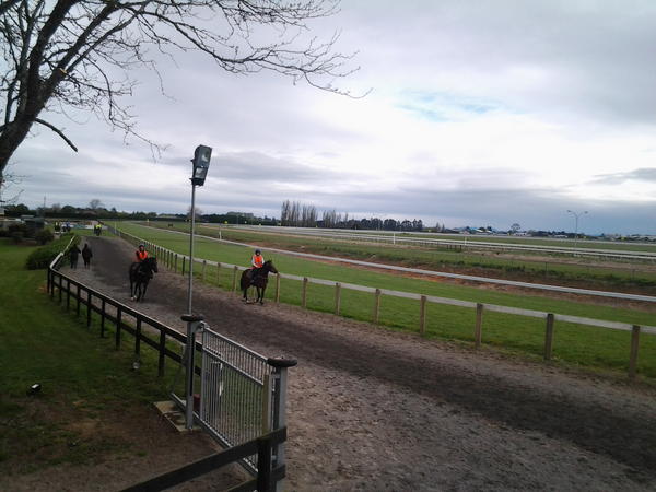 regalfarm's tweet photo. http://t.co/IUpCnnrM