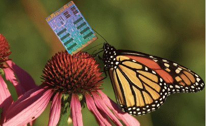 krajeev813's tweet image. Gaming the system-high-end networking on the Cell processor: bit.ly/NUcCES via @eetimes