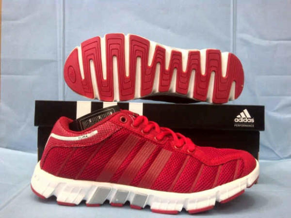 SportDistro tweet picture