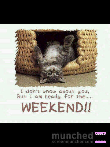 June 'Searing' Higgs (@higgypigette) on Twitter photo 