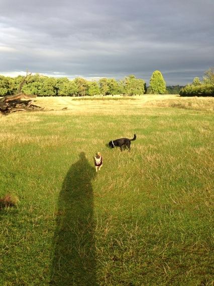 Pabbott's tweet image. Whole park to ourselves.