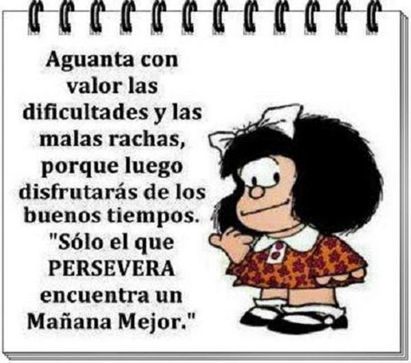 Yesid Aranda tweet media