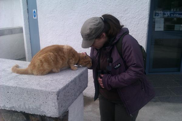 FlamboroBirder's tweet image. Really sad news that the #Tobermorycat met his end today,this is him n @Jo_birding on mull in June #RIPTC