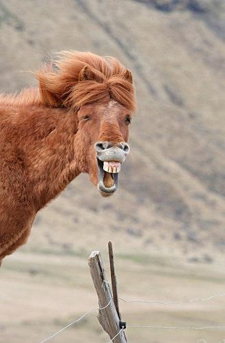 miilkkk's tweet photo. when my friends take picture of me when I'm laughing http://t.co/IH9a86O5