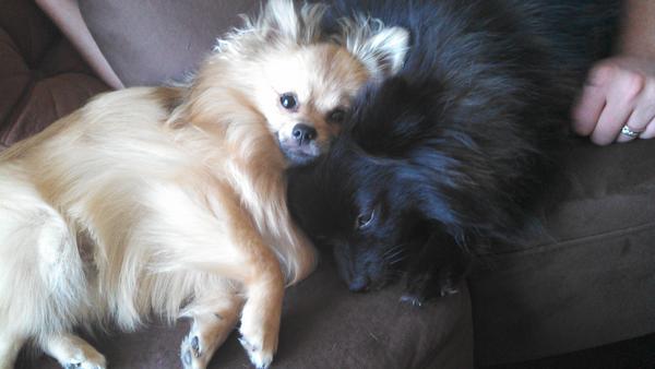 AlyciaStark's tweet photo. http://t.co/iaGudqzL