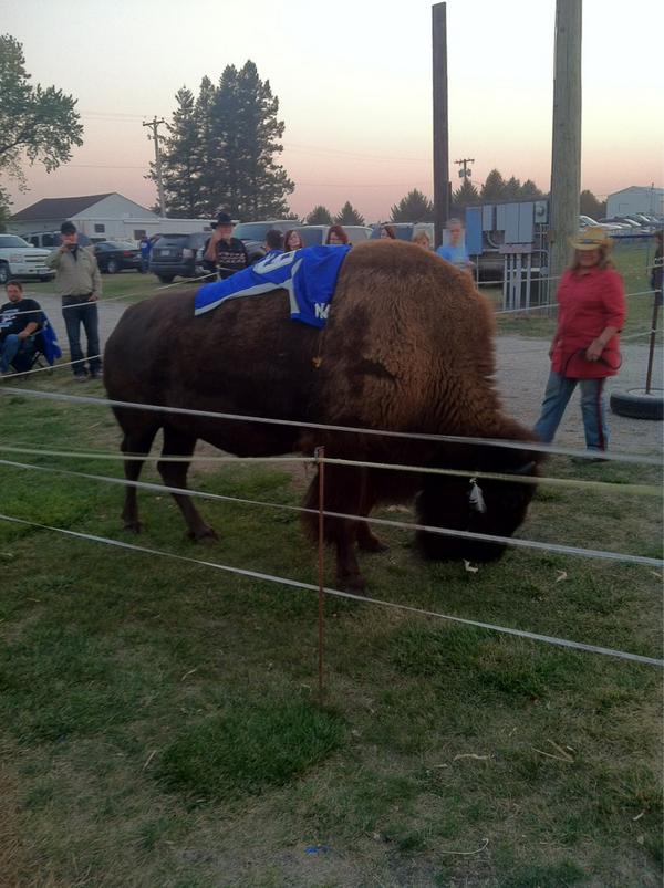 only at north iowa #homeofthebison