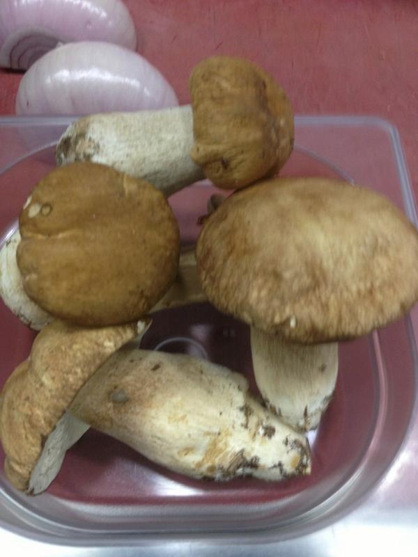 CasaViart's tweet image. Primers surenys 100% Empordà, quin nivell #Nuparu #cartanova