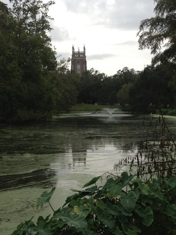 lenzwalters's tweet photo. Morning run through Audubon park, now let the Nola festivities begin! #gohawks http://t.co/R7NwSkJ4