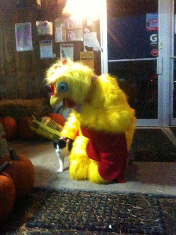 steenblock's tweet photo. Species unite at the Kountry Kupboard. #bourbonchase #poultryinmotion @kmgust http://t.co/kPrvbqZU