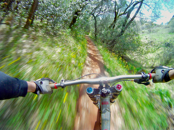 GoPro tweet picture