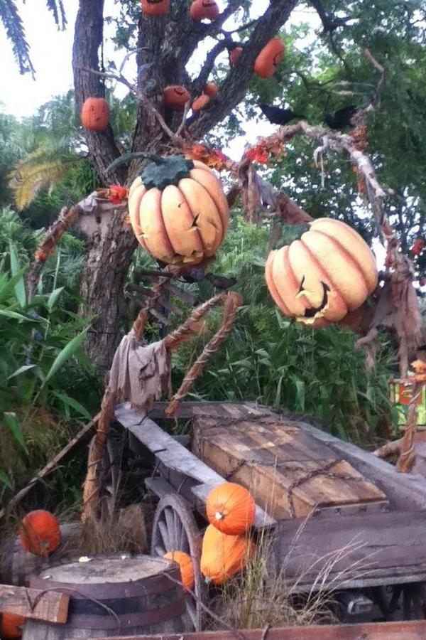 #Halloween #universalstudios Halloween started to come Early hehe