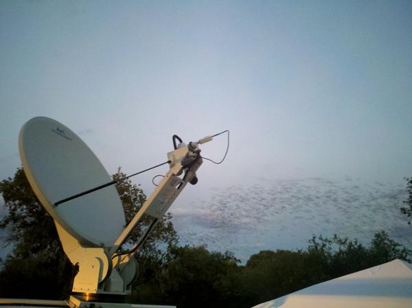 PWNetwork's tweet photo. Sun sets over Bracken Bat Cave as bats emerge. PWN satellite uplink ready for #BatsLIVE. @BatConIntl @USFWS_WNS http://t.co/hF7WseBr